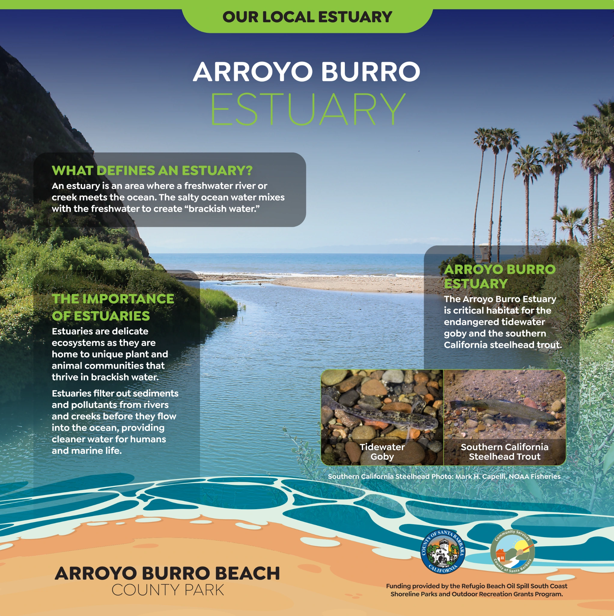 Original Arroyo Burro panel artwork: Arroyo Burro Estuary