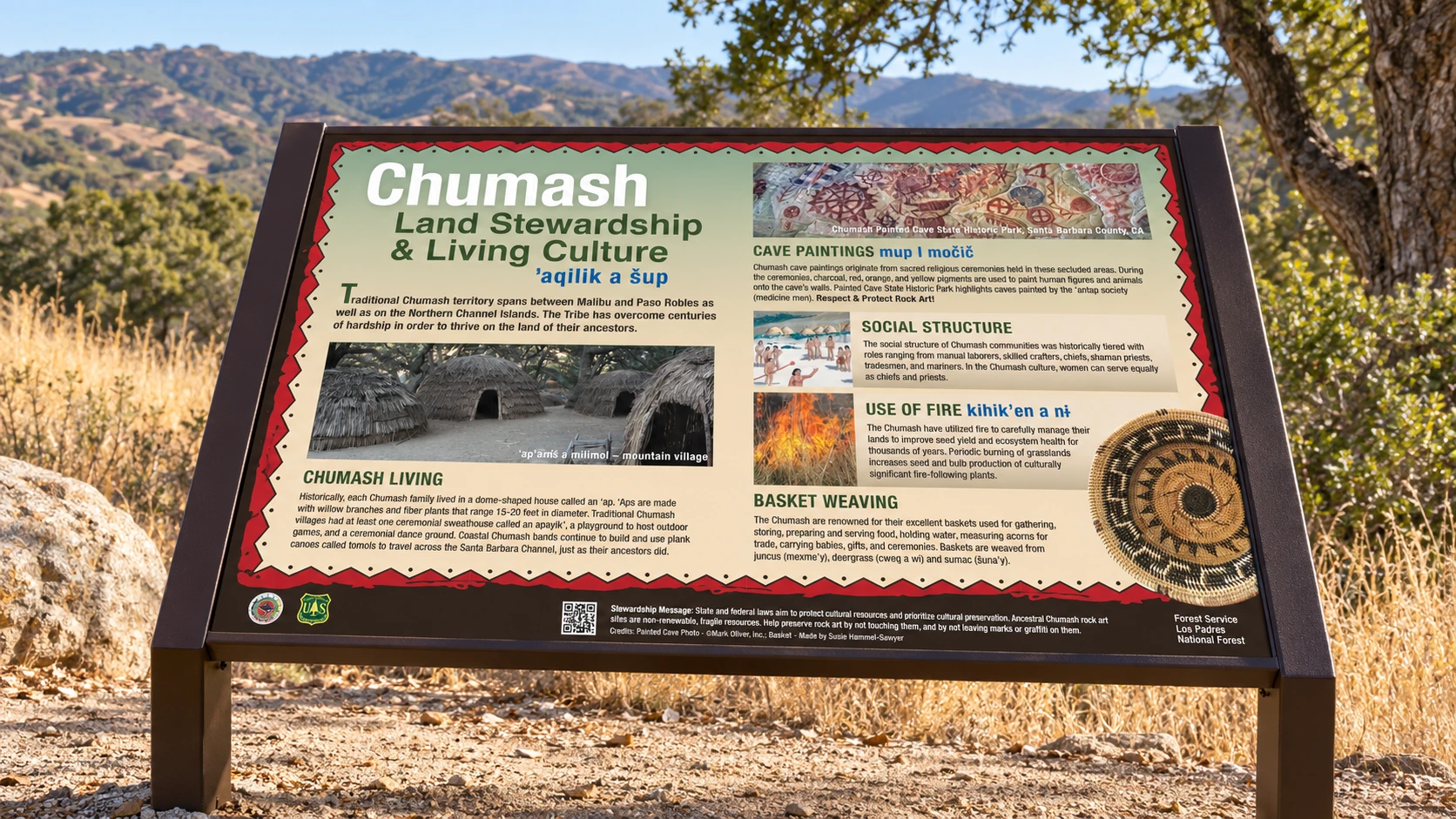 Chumash land stewardship panel visualized beside a Los Padres woodland trail