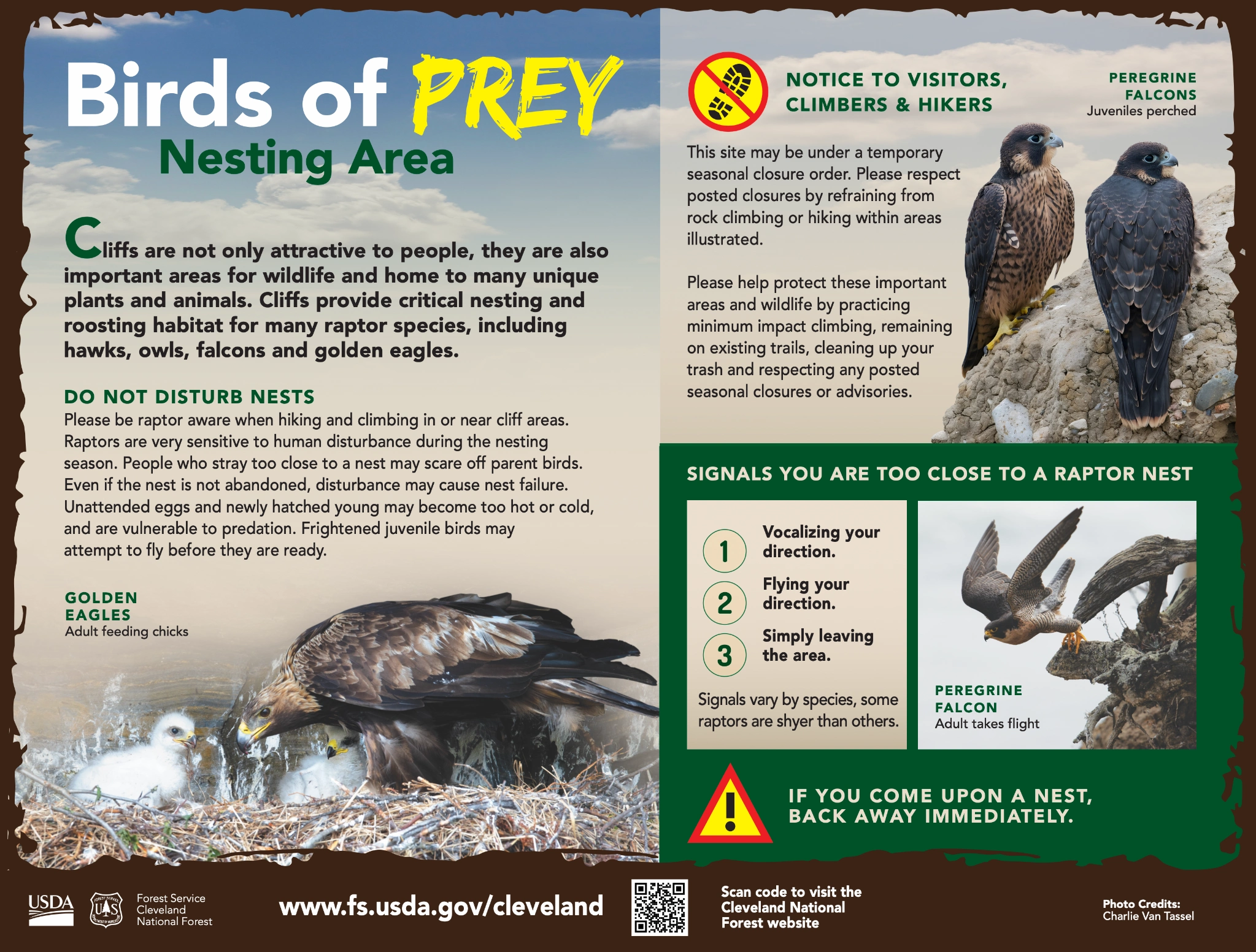 Original Cleveland National Forest artwork: Birds of Prey — Nesting Area