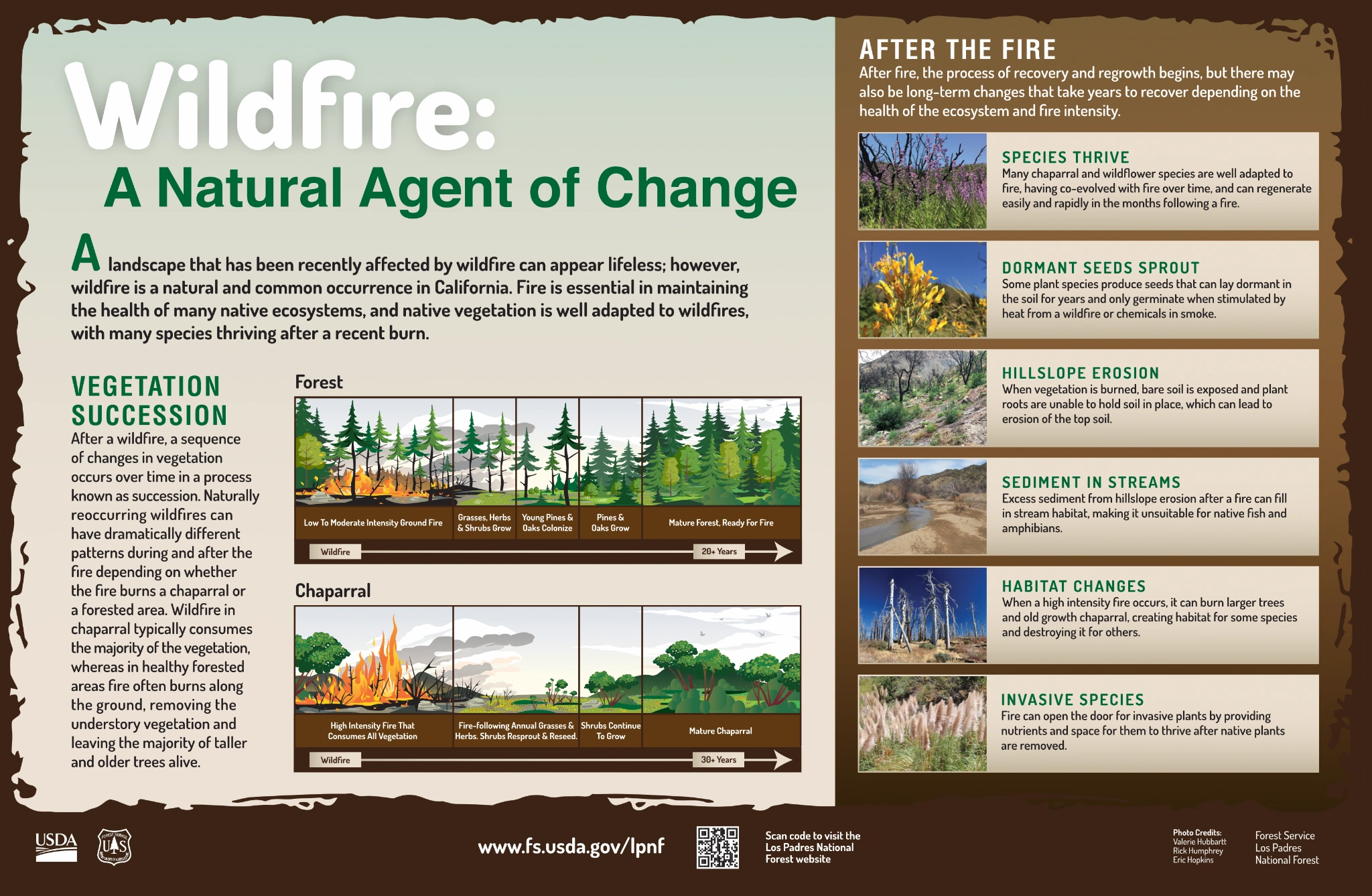 Original Los Padres artwork: Wildfire — A Natural Agent of Change