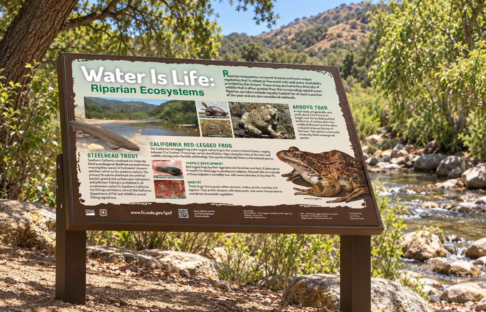 Water Is Life panel visualized beside a creek in a Los Padres-style landscape