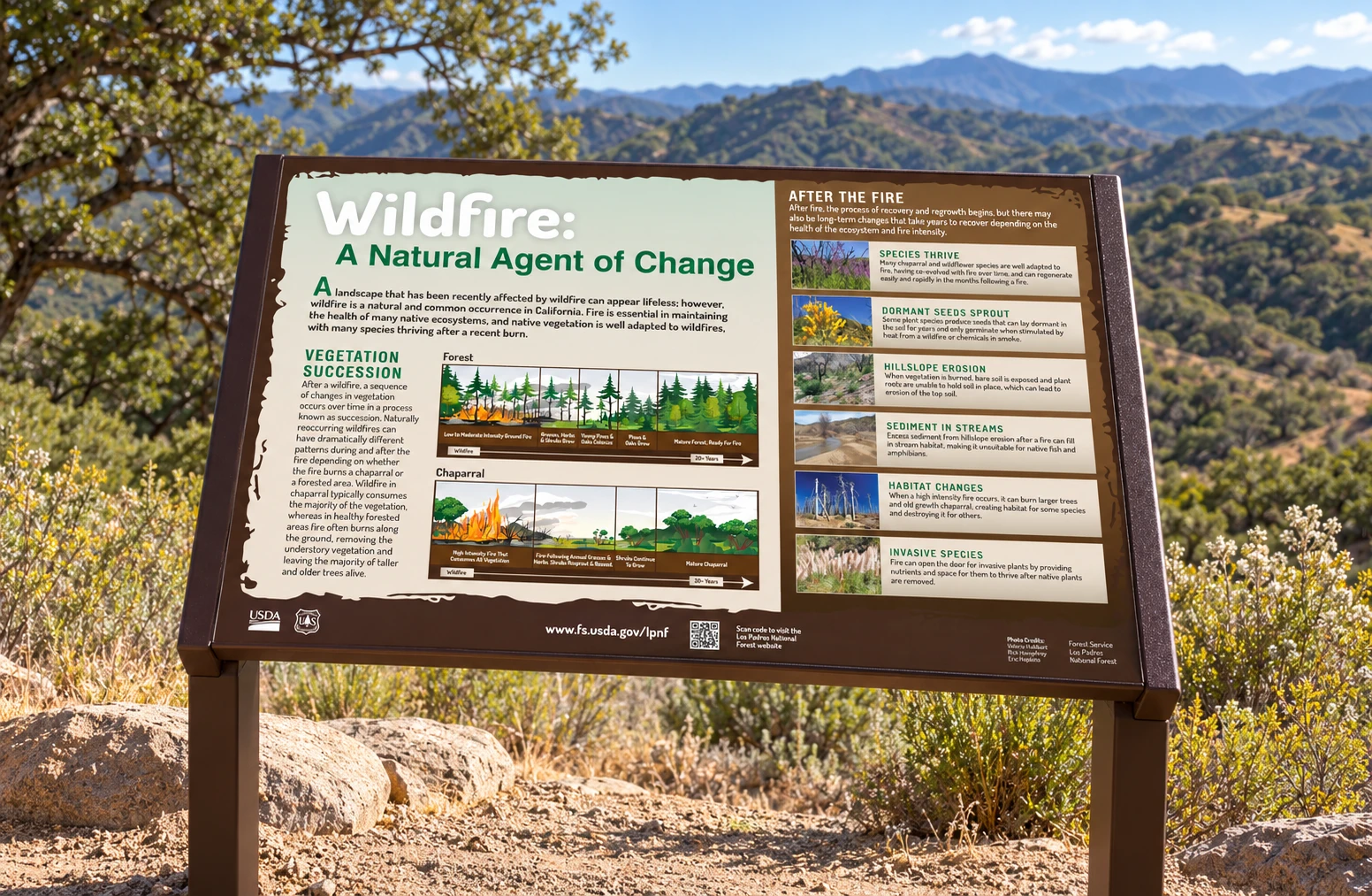 Wildfire interpretive artwork visualized at a chaparral trail overlook